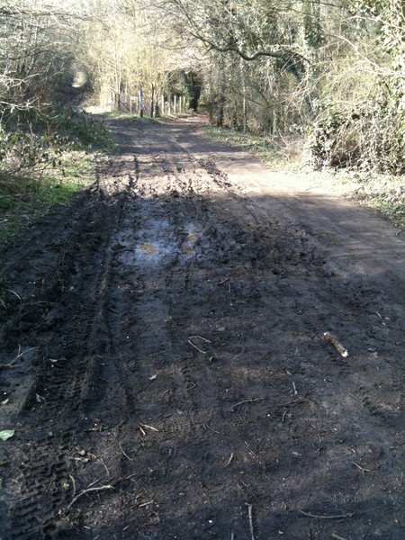 The photo for Recurring muddy path near Reed Pond.